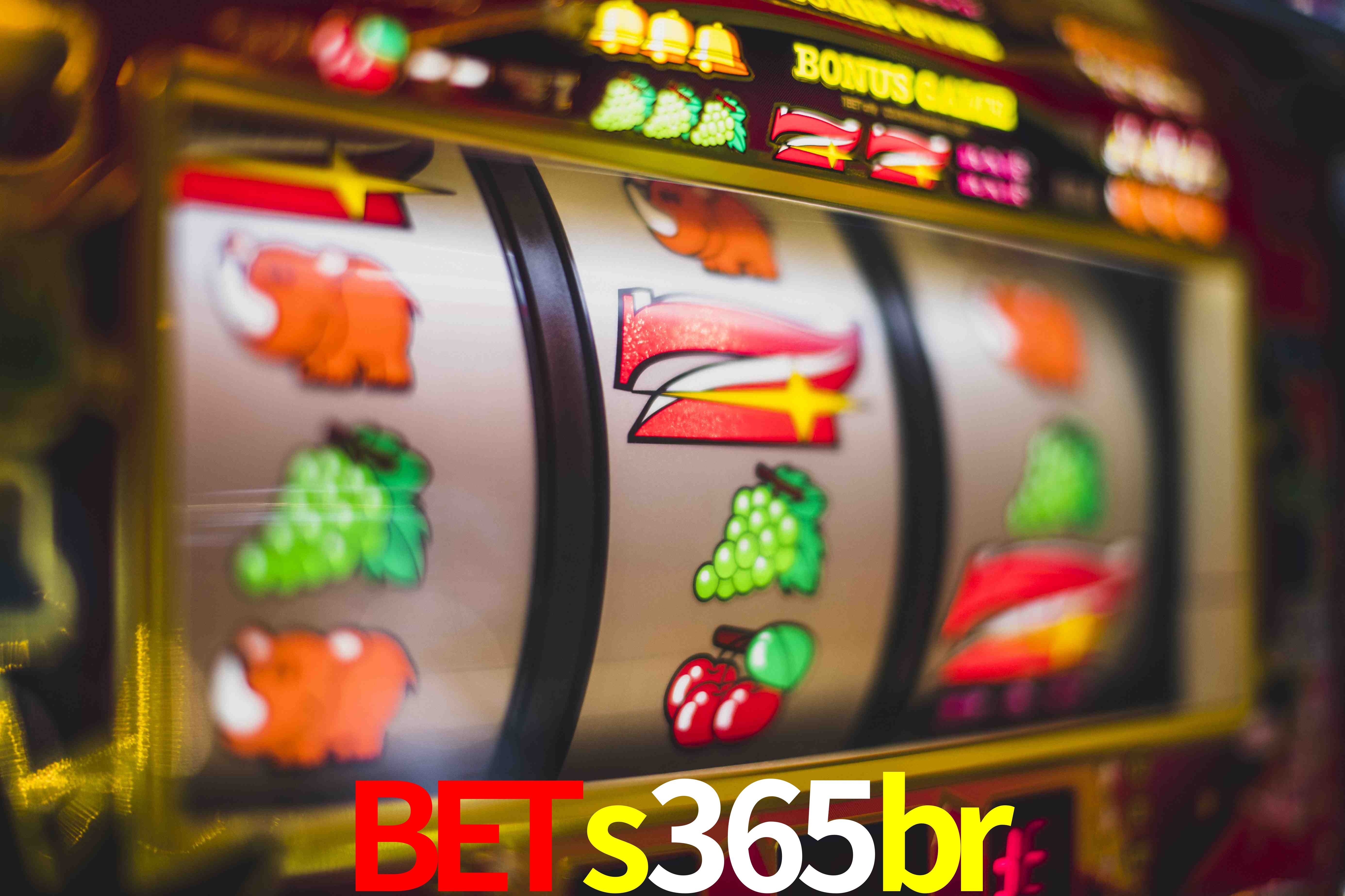 Statistics bets365br